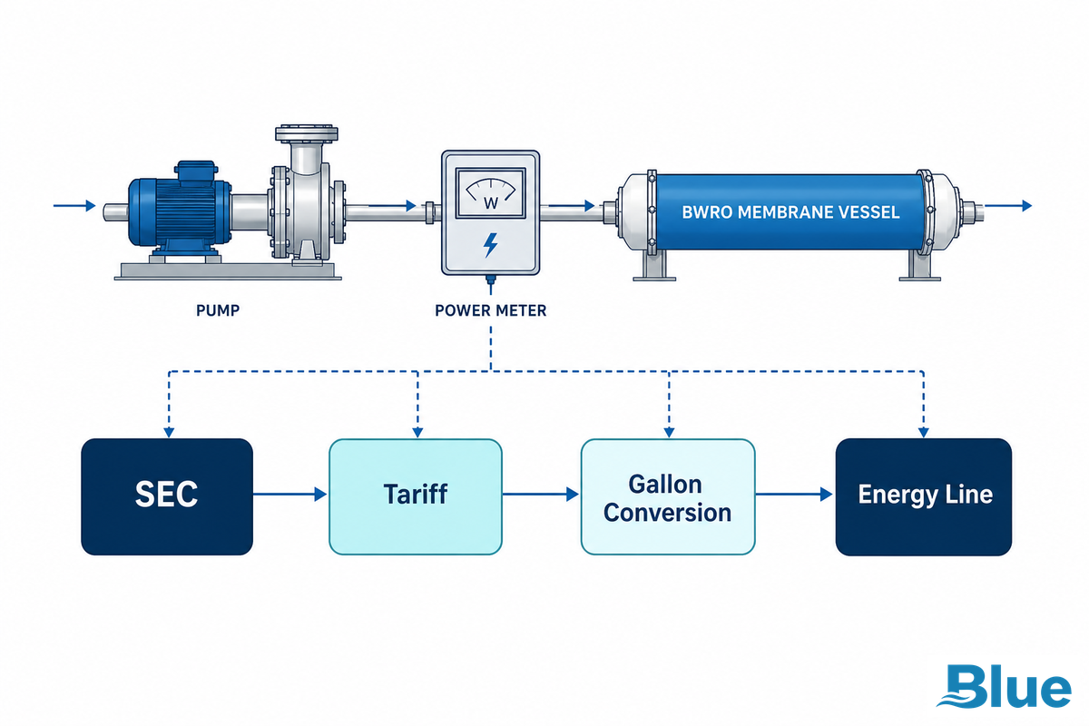 Why Energy Cost Changes the Number Fast - Blue Membrane