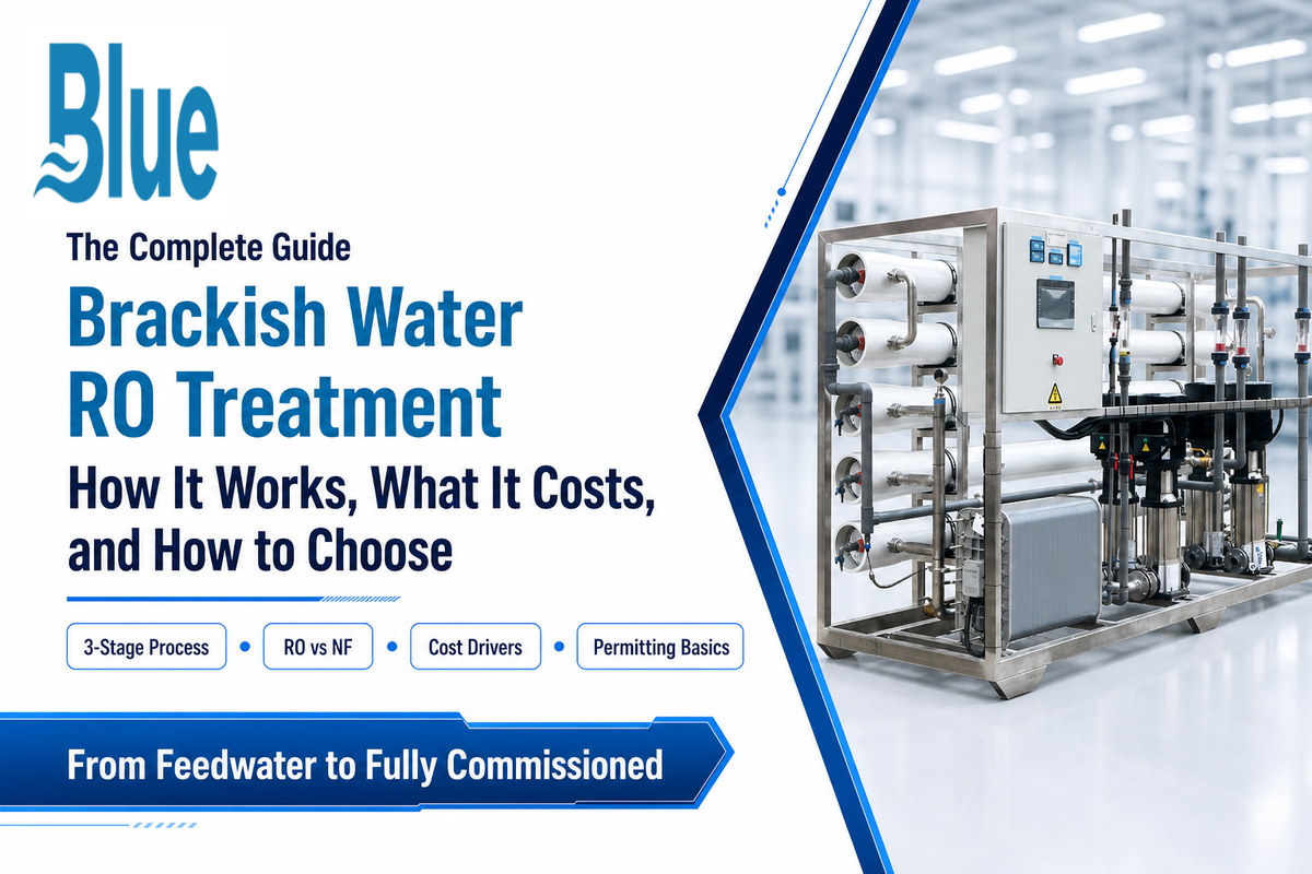 Brackish Water RO Treatment: How It Works & System Guide