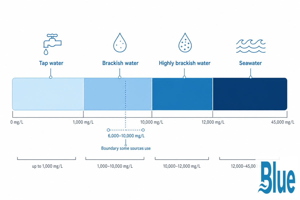 What Is Brackish Water, and Why Does RO Dominate Its Treatment? — Blue Membrane