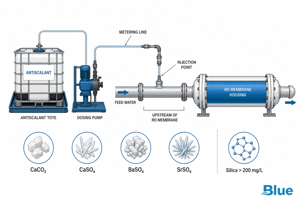 Antiscalant Dosing: Preventing Scale Without Overdosing — Blue Membrane