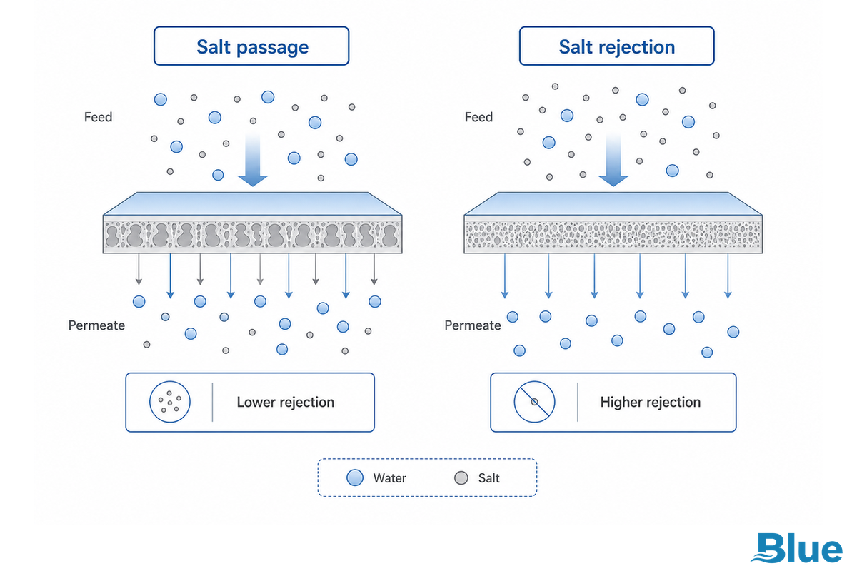 Salt Passage vs Salt Rejection: Two Views of the Same Test — Blue Membrane