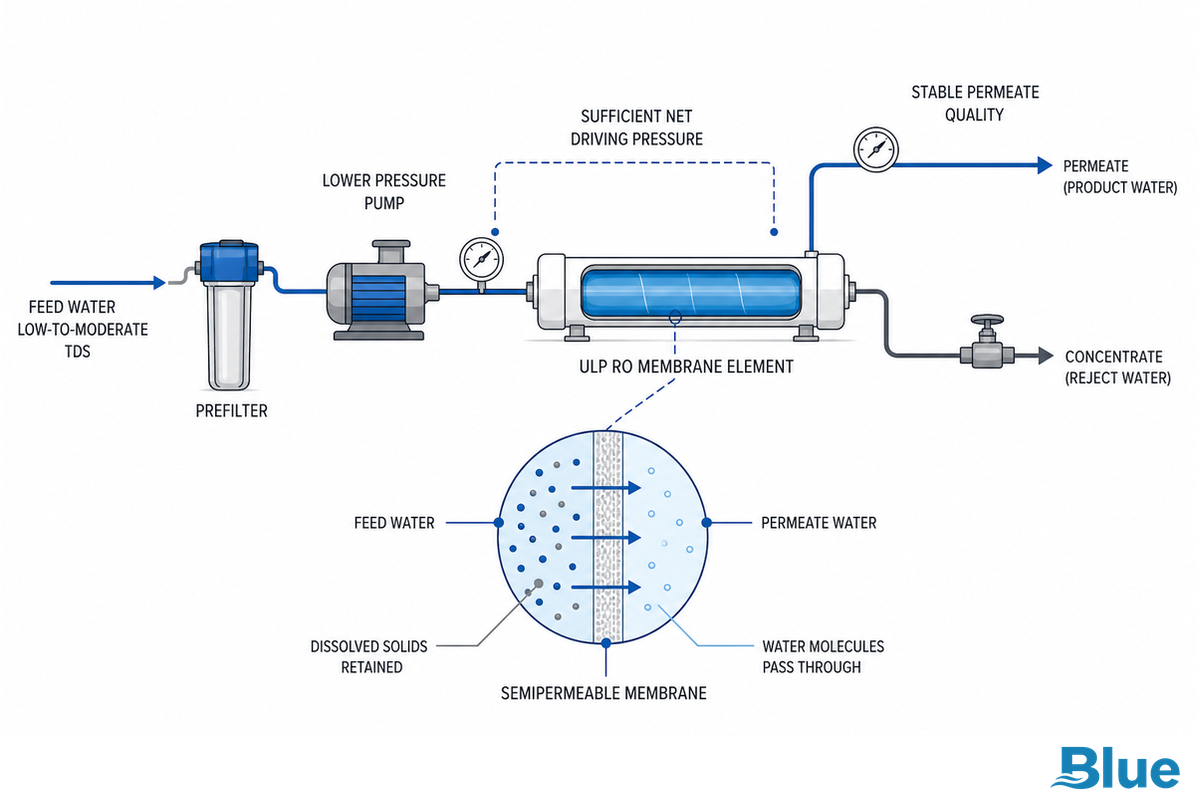How ULP RO Membranes Hold Rejection at Lower Pressure — Blue Membrane