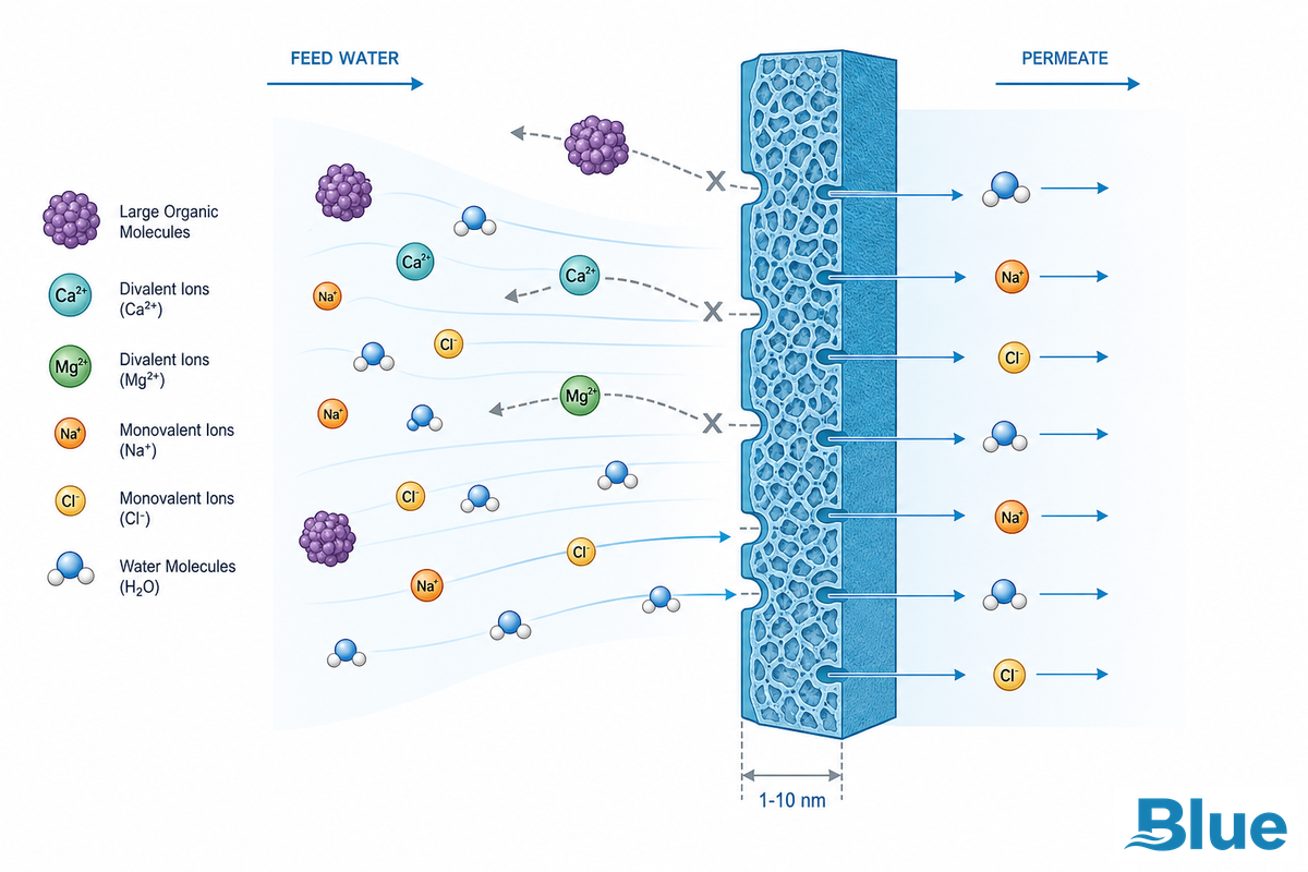What Is a Standard NF Membrane? — Blue Membrane