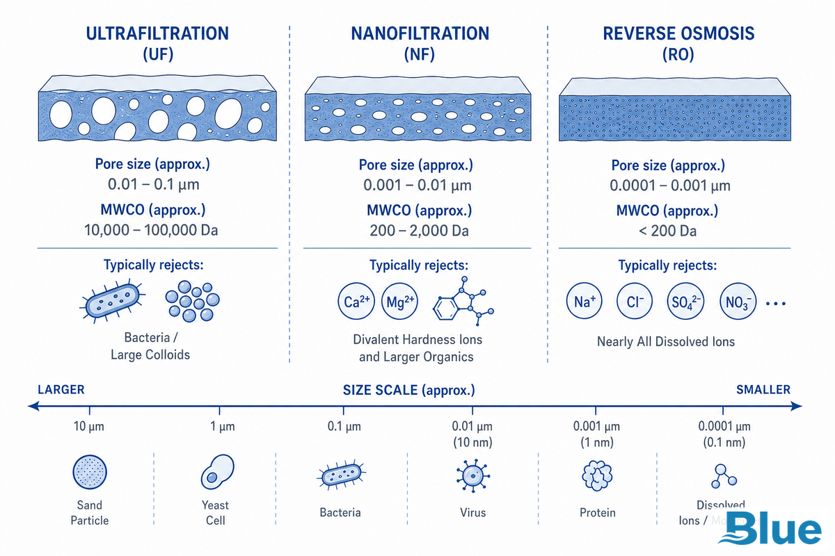 What Nanofiltration Actually Removes, and What It Leaves Behind — Blue Membrane