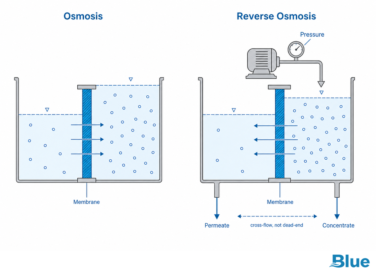 How Does an RO Membrane Work? — Blue Membrane