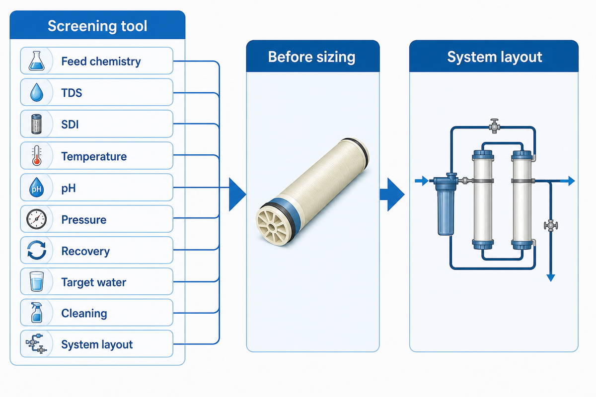 How Structure Guides Element Selection — Blue Membrane